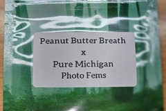 Sell: Peanut Butter Breath x Pure Michigan - 10 Photo Fems