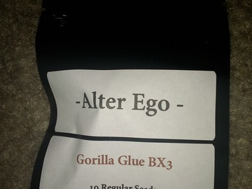 Vente: Gorilla glue bx 3