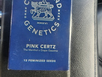 Sell: Pink Certz   