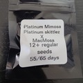 Vente: Desert Frost - Platinum Mimosa ~NM Breeder~