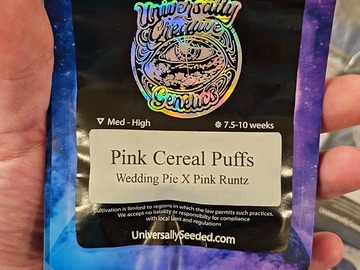 Vente: Pink Cereal Puffs 6pk fems by Universally Seeded