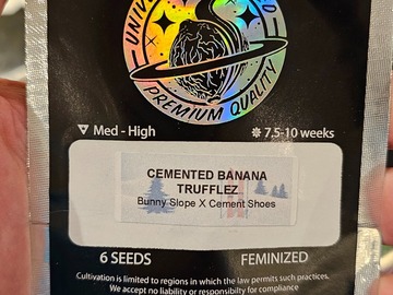 Sell: Cemented Banana Trufflez 6pk Fems by Universally Seeded