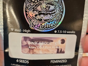 Vente: Pink Abuduction 6pk Fems by Universally Seeded
