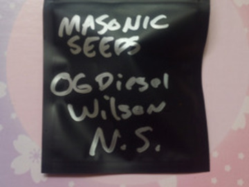 Subastas: *Auction* OG Diesel Wilson "Natural Selections" Masonic Seeds