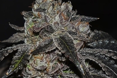 Sell: Wolfpack Selections- Tri-Cream Cake **420 Special**