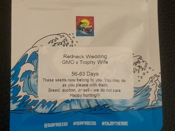 Vente: Redneck Wedding (GMO x Trophy Wife) - Surfr