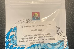 Vente: Gorilla Glue #5 x Unknown Cookies - Surfr Seeds