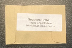 Vente: Southern Gothic (Irene x Appalachia) - High Lonesome Seeds