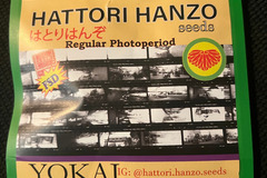 Sell: Hattori Hanzo Yokai 12 pack
