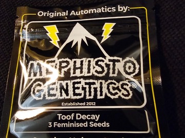 Vente: Mephisto Genetics Toof Decay 5 Pack