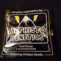 Vente: Mephisto Genetics Toof Decay 5 pack