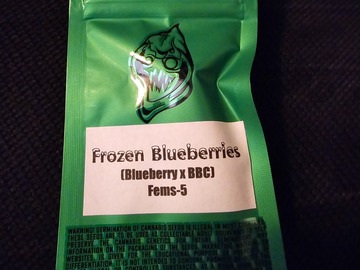 Sell: Robinhood Frozen Blueberries  5 Pack