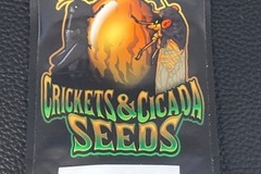 Vente: Puck (Skelly) HP BC 3 - Crickets and Cicadas