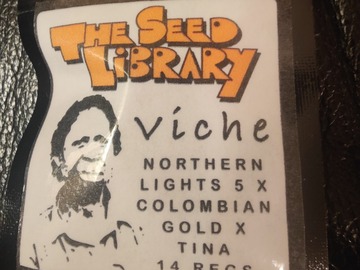 Venta: The Seed Library - Viché - NL5 x Columbian Gold x Tina