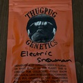 Venta: Electric Snowman by Thug Pug Genetics