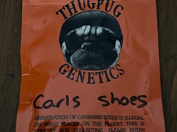 Vente: Carl's Shoes by Thug Pug Genetics
