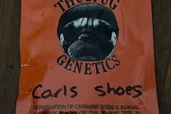 Sell: Carl's Shoes by Thug Pug Genetics