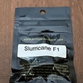 Vente: Slurricane F1 by Archive Seed Bank