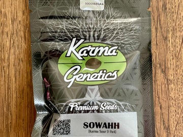 Vente: Karma Genetics - Sowahh