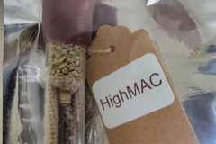 Vente: High Mac  Sunken Treasure seeds.