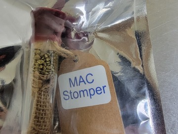 Vente: Mac Stomper Sunke Treasure Seeds