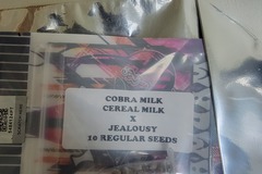 Venta: Cobra Milk Tiki Madman