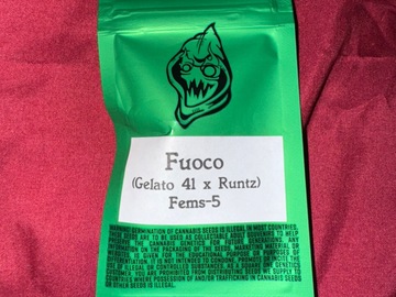 Venta: FUOCO  - Robin Hood Seeds