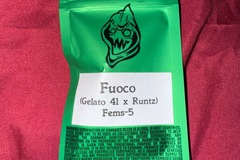 Venta: FUOCO  - Robin Hood Seeds