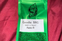 Venta: Goodie Bag  - Robin Hood Seeds