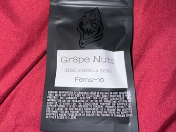 Sell: Gr8pe Nuts  - Square One Genetics