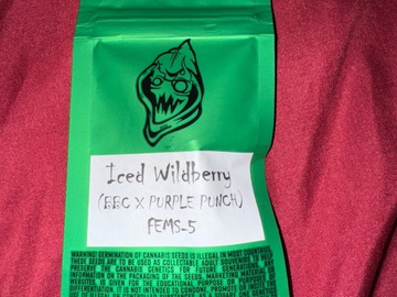 Sell: Iced Wildberry - Robin Hood Seeds