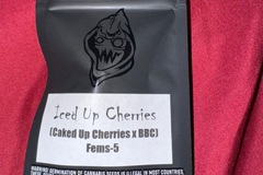 Sell: Iced up Cherries  - Square One Genetics