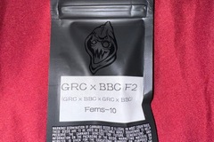 Vente: GRC X BBC F2  - Square One Genetics