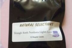 Enchères: *Auction* Triangle Kush Northern Lights Lime (NS) Masonic