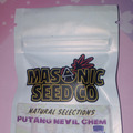 Auction: *Auction* PuTang Nevil Chem (Natural Selections) - Masonic seeds