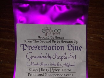 Vente: Buy 2 Get 2 - Grandaddy Purple S1 10-Pack - Feminized Photoperiod