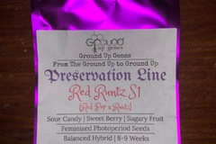 Vente: Buy 2 Get 2 - Red Runtz S1 10-Pack - Feminized Photoperiod