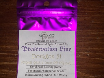 Sell: Buy 2 Get 2 - Dosidos S1 10-Pack - Feminized Photoperiod