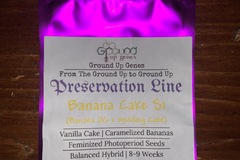 Venta: Banana Cake S1 10-Pack - Feminized Photoperiod