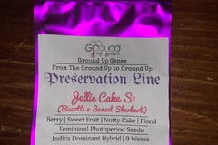 Vente: Buy 2 Get 2 - Jellie Cake S1 10-Pack - Feminized Photoperiod