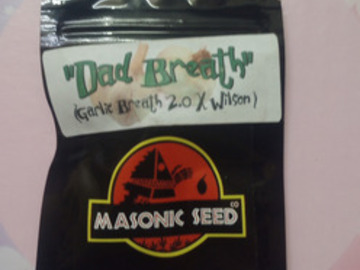 Dad Breath - Masonic (Garlic Breath 2.0 x Wilson)
