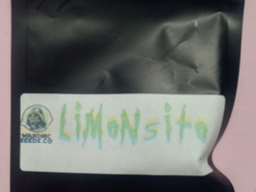 Venta: Limonsito (Black Lime Reserve Wilson NS23) Masonic