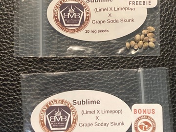 Sell: (Lime 1 x Lime Pop) x Grape Soda Skunk - Black Market Breeders