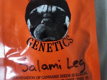 Thug pug Salami leg