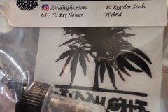 Venta: Midnight Roots - Banana Foster (Banana Kush x Fire 18)