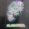 Sell: La Plata Labs - Alien Bubba BX3
