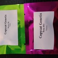 Venta: Copycat - Rozay BX & BX1 ;  2x 3packs from Seed Waffles FEMS