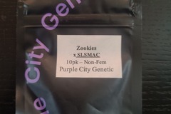 Vente: Purple City Genetics - Zookies x SLSMAC