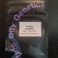 Venta: Purple City Genetics - Zookies x SLSMAC