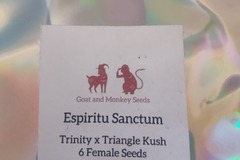 Vente: Goat and Monkey - Espiritu Sanctum FEMS